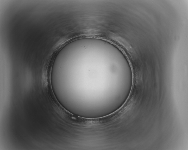 X0000102391451200808081217