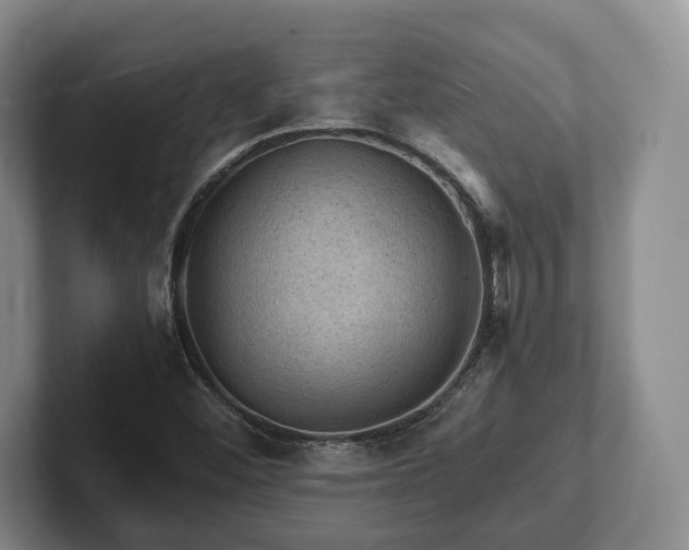 X0000102391452200808081217