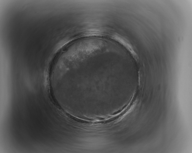 X0000102391453200808081217