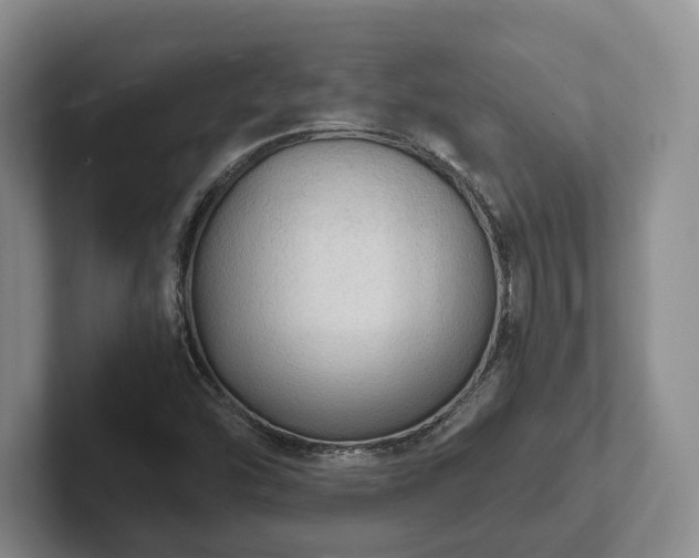 X0000102391454200808081217