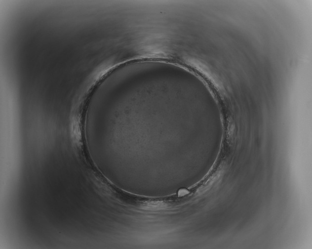 X0000102391455200808081217