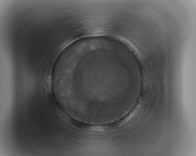 X0000102391457200808081217