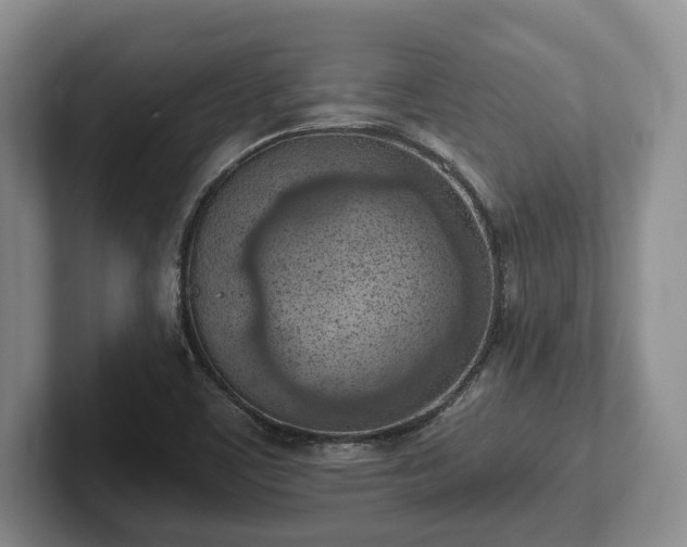 X0000102391459200808081217