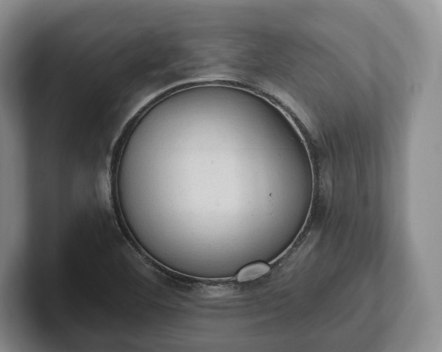 X0000102391460200808081217