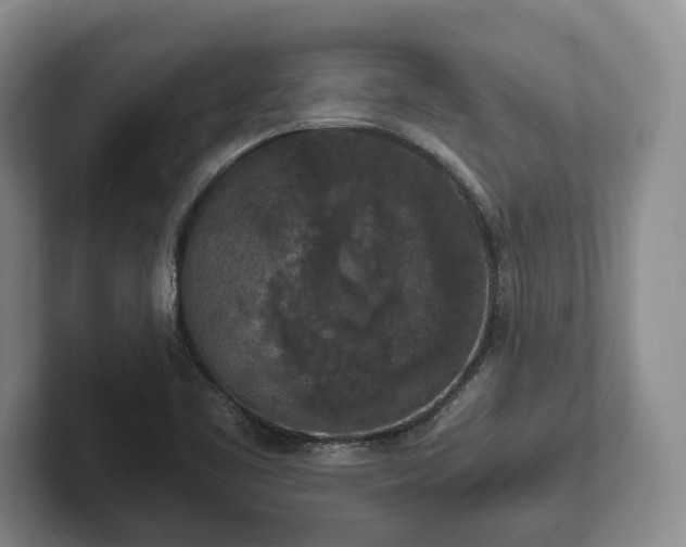 X0000102391461200808081217