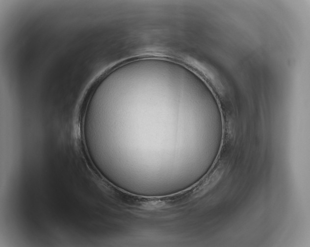 X0000102391462200808081217