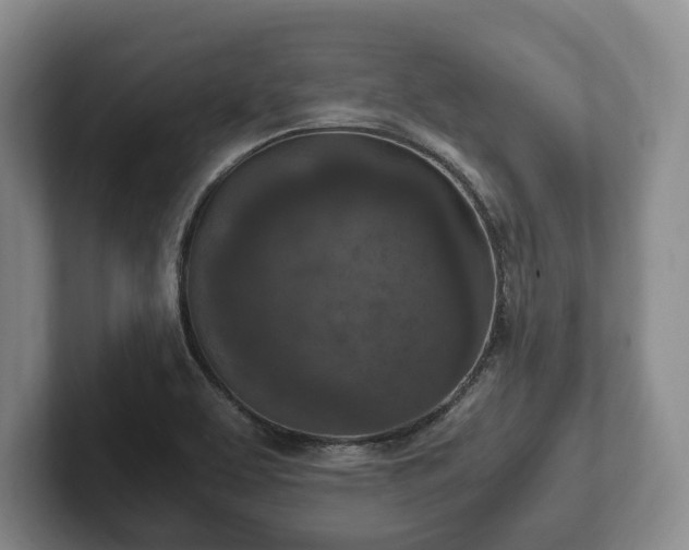 X0000102391463200808081217