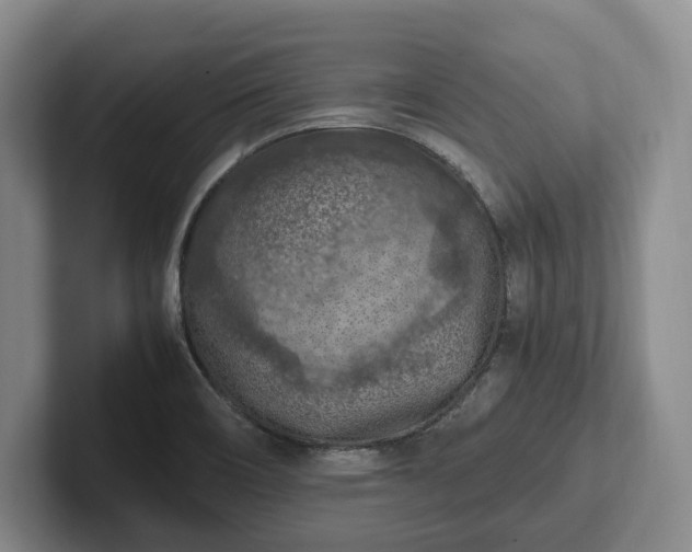 X0000102391466200808081217