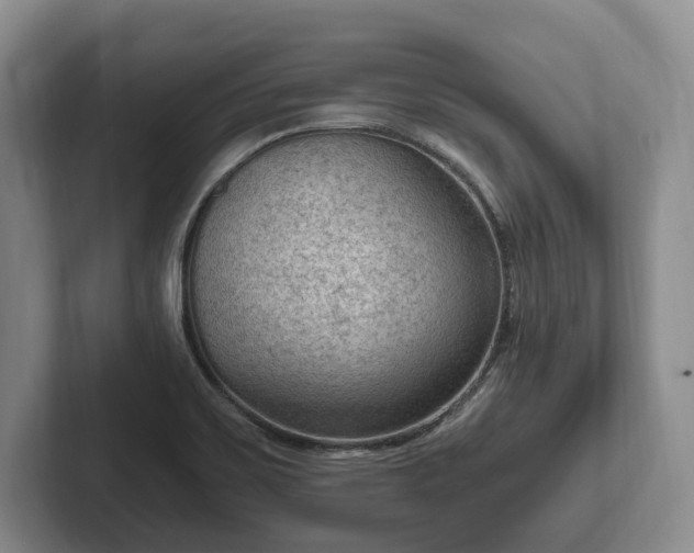 X0000102391467200808081217