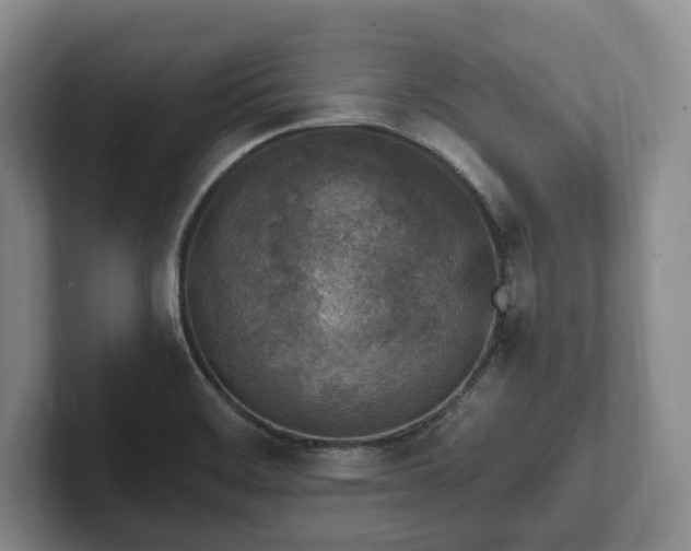 X0000102391468200808081217