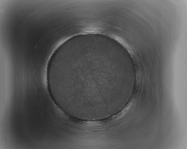 X0000102391469200808081217