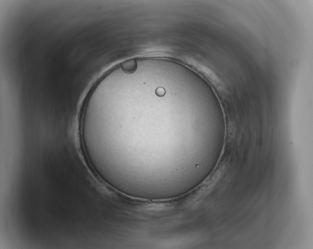 X0000102391470200808081217