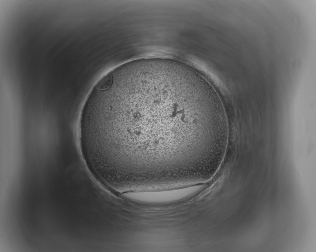 X0000102391471200808081217