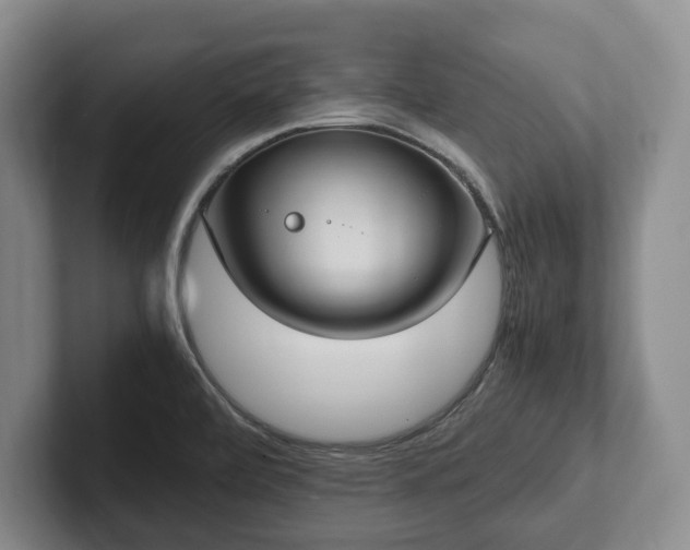 X0000102391472200808081217