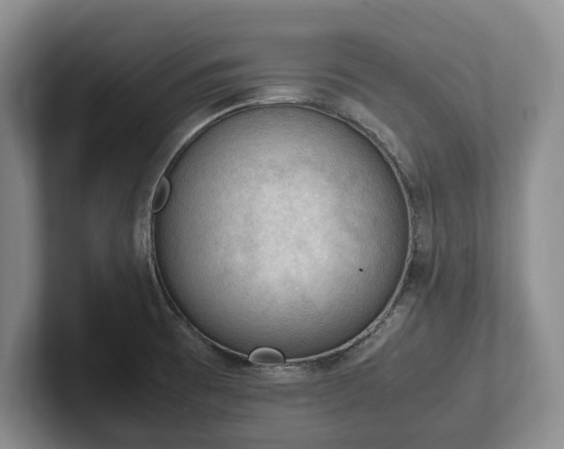 X0000102391473200808081217