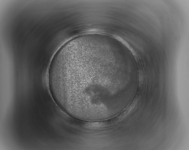 X0000102391474200808081217