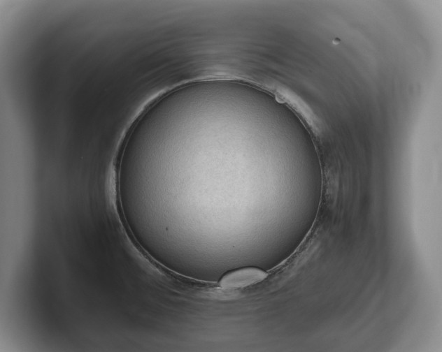 X0000102391476200808081217