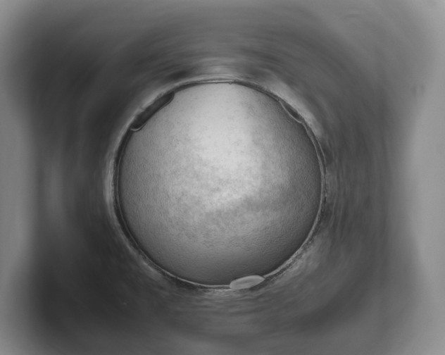 X0000102391477200808081217