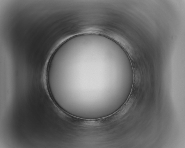 X0000102391478200808081217