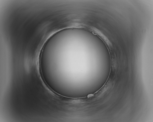 X0000102391479200808081217