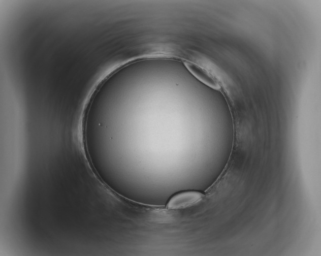 X0000102391480200808081217