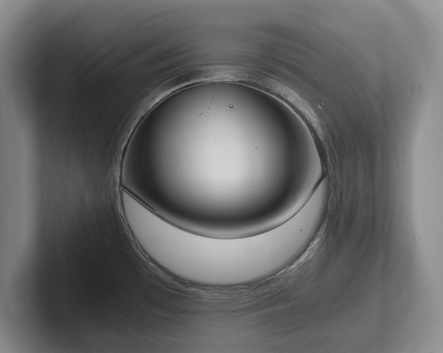 X0000102391481200808081217