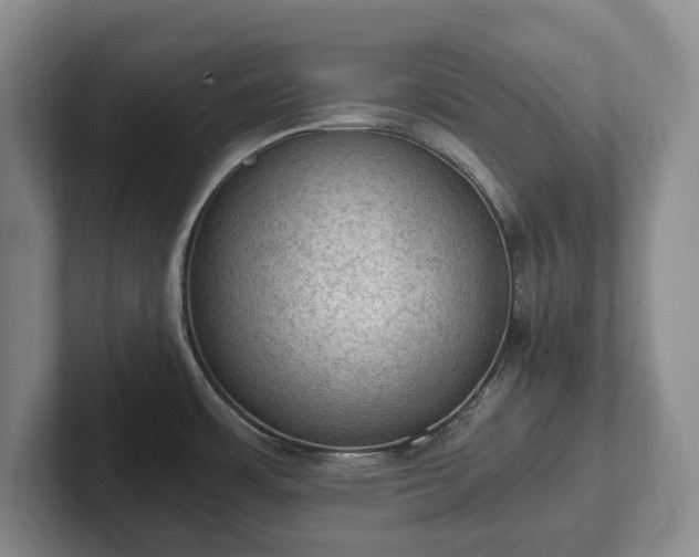 X0000102391483200808081217