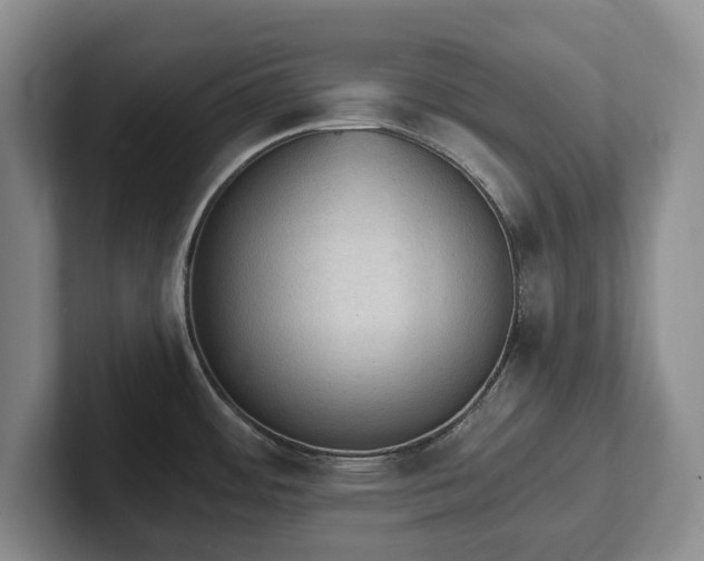 X0000102391484200808081217