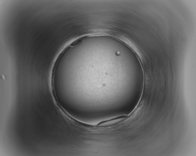 X0000102391485200808081217