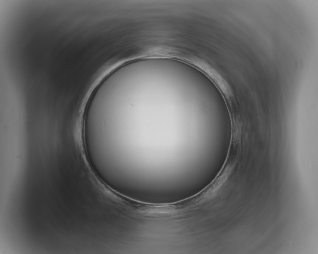 X0000102391486200808081217