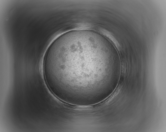 X0000102391487200808081217