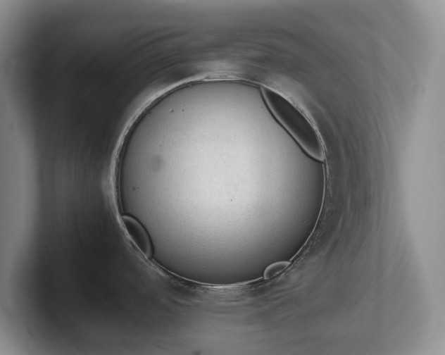 X0000102391488200808081217