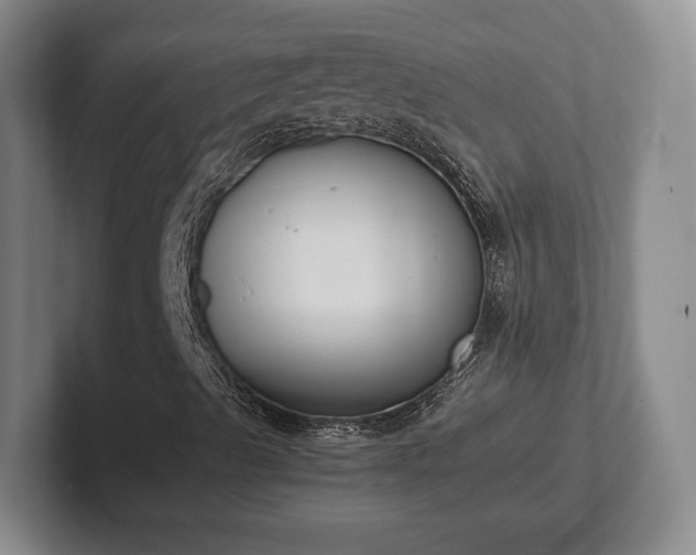 X0000102391489200808081216