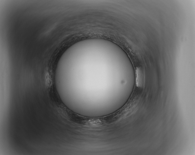 X0000102391491200808081216