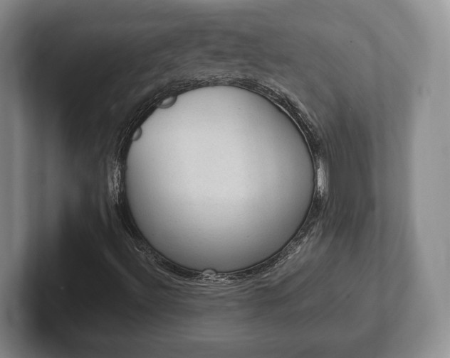 X0000102391492200808081216