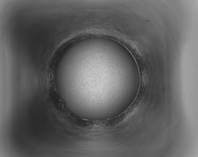 X0000102391494200808081216