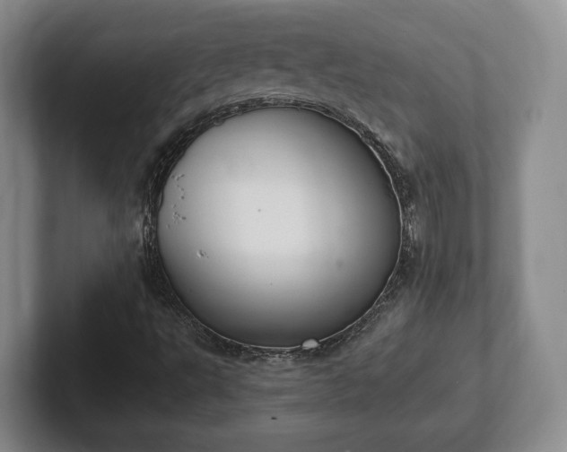 X0000102391495200808081216