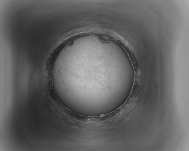 X0000102391496200808081216