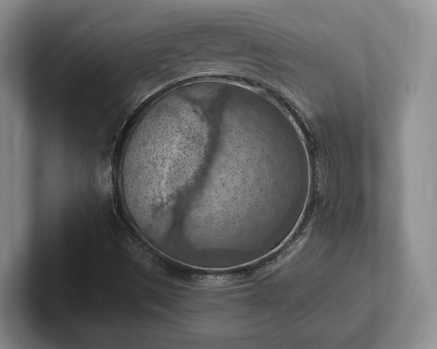 X0000102391497200808081216