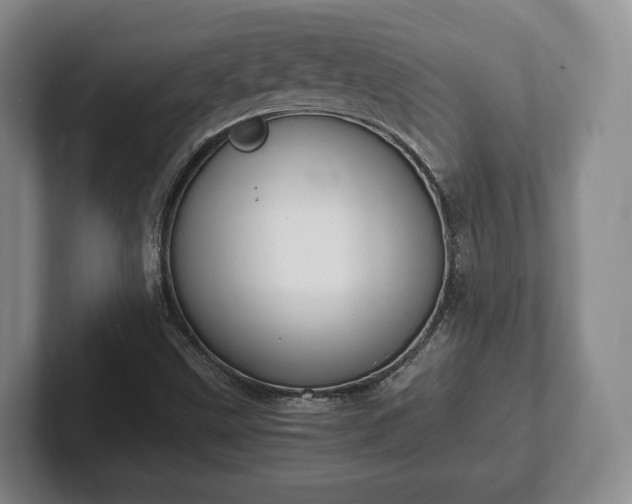 X0000102391499200808081216