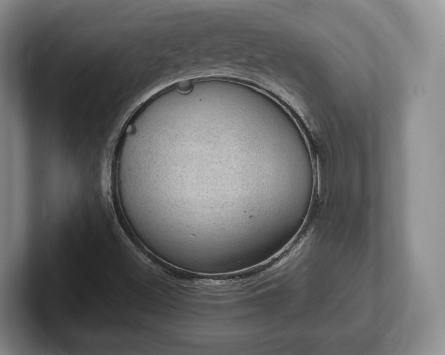 X0000102391500200808081216