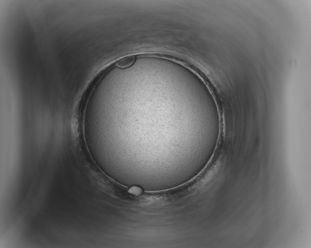 X0000102391501200808081216