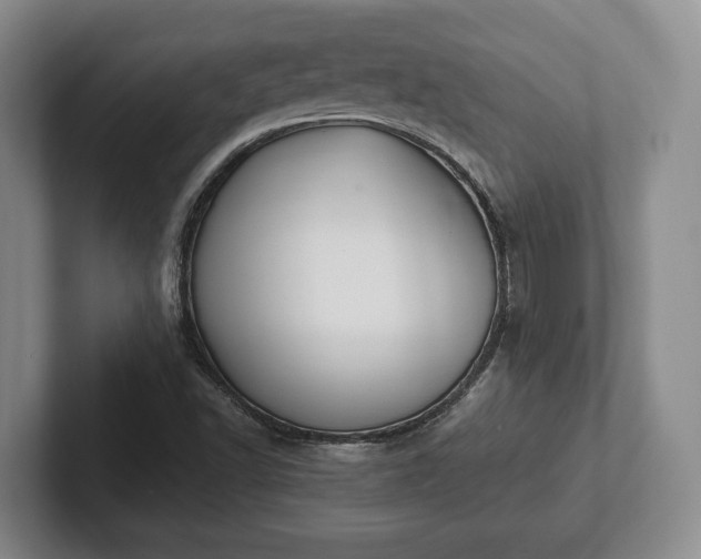 X0000102391502200808081216