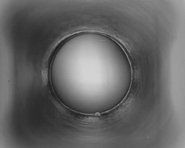 X0000102391503200808081216