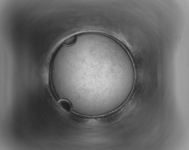 X0000102391504200808081216