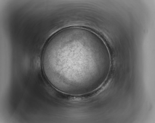 X0000102391505200808081216