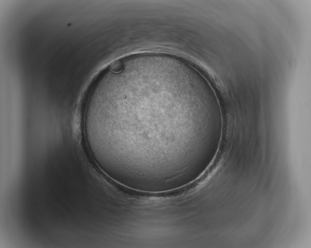 X0000102391506200808081217