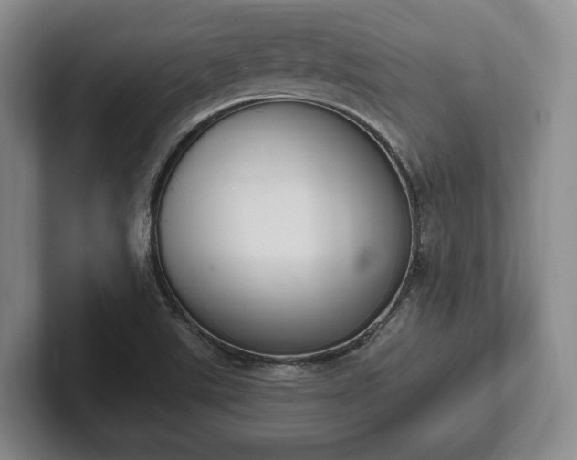 X0000102391507200808081217