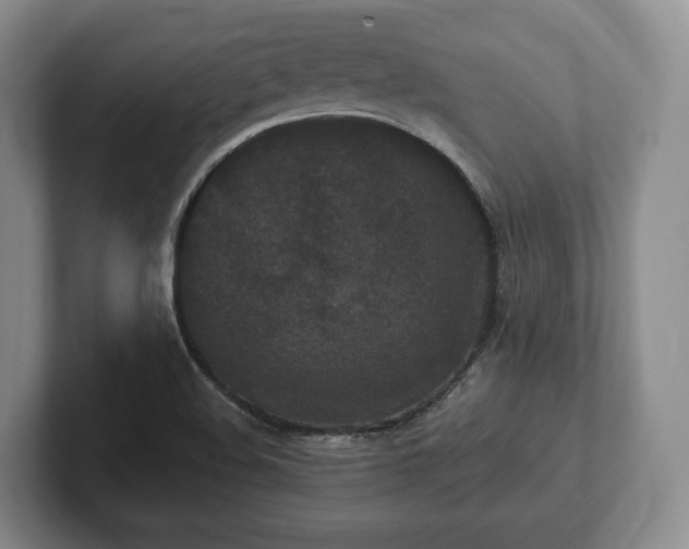 X0000102391508200808081217