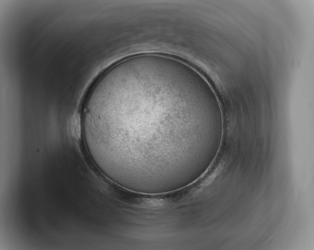 X0000102391509200808081217